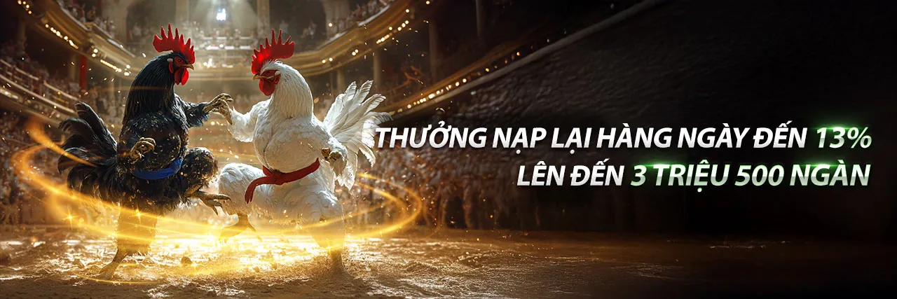 Đá gà trực tuyến kịch tính tại Fly88